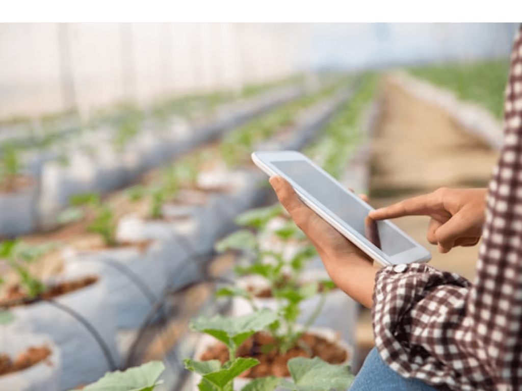 lilikoi-industries-farmer